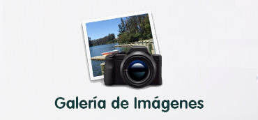Galeria de Fotos